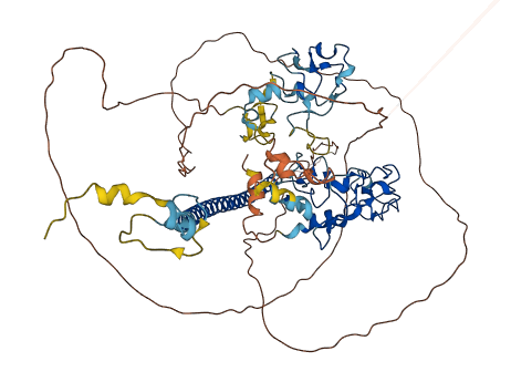 UNKL 3D structure