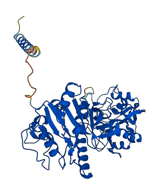 FKRP 3D structure