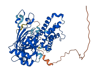 JMJD4 3D structure