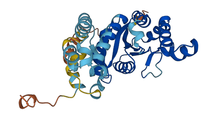 GPN2 3D structure