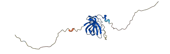 LIN28A 3D structure