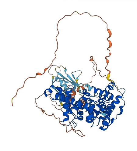 TBC1D17 3D structure