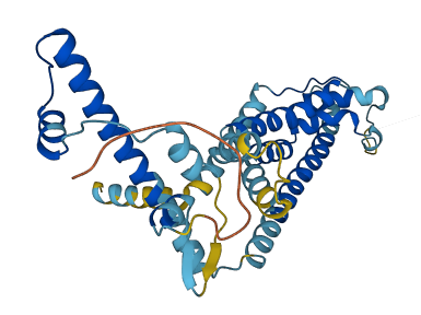 CALHM2 3D structure