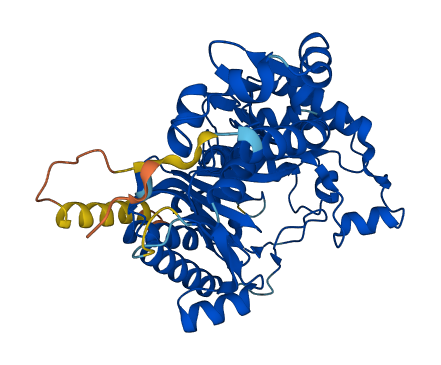 RSAD1 3D structure