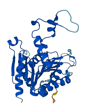 PPCS 3D structure