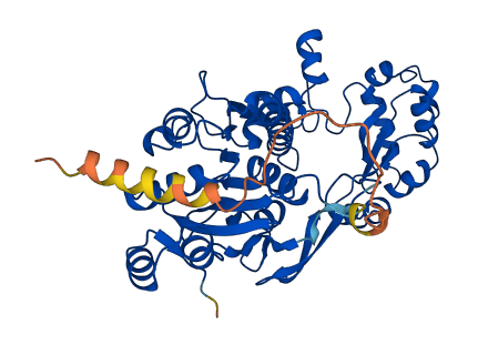 SUGCT 3D structure