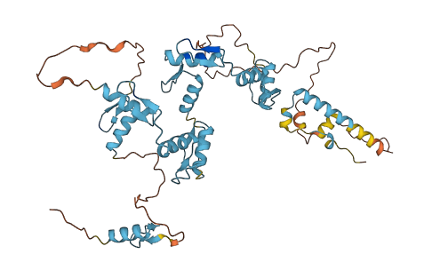 ZNF556 3D structure