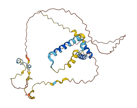 CXorf21 3D structure