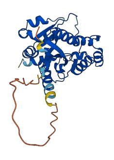 NMNAT1 3D structure