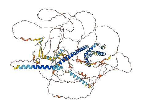 MLXIP 3D structure