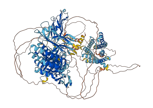 ADGRL3 3D structure
