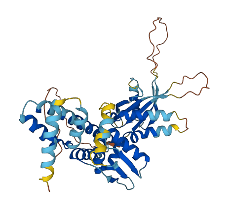 C17orf75 3D structure