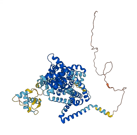 SLC28A3 3D structure