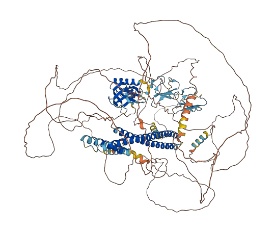PLEKHA5 3D structure