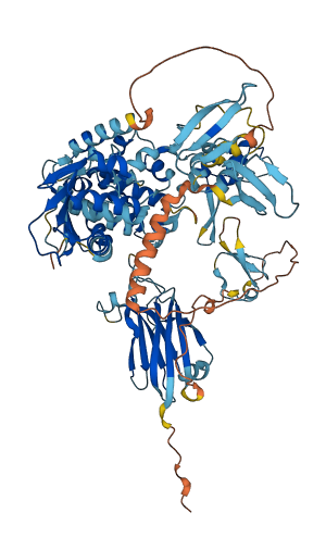 SMURF2 3D structure