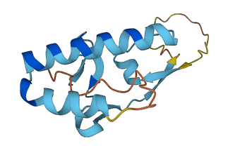 TPT1P8 3D structure