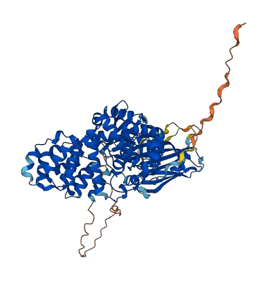 RNPEPL1 3D structure