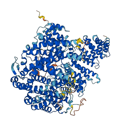 XPO5 3D structure