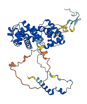 BRF2 3D structure