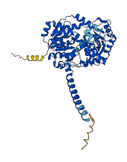 UGT1A7 3D structure