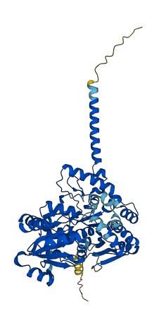 UGT1A10 3D structure