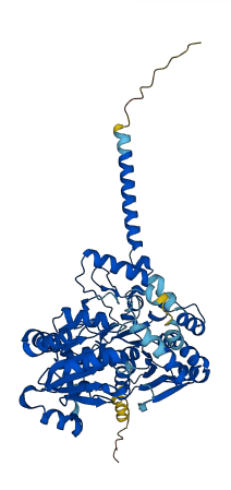 UGT1A8 3D structure