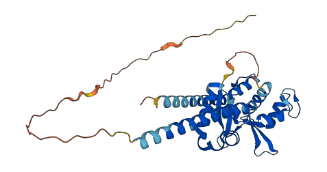 MAGEF1 3D structure