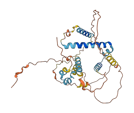 BCL2L12 3D structure