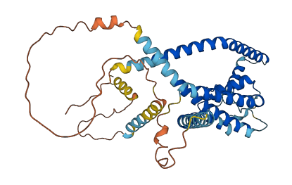 KCNK13 3D structure