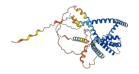 KCNK12 3D structure