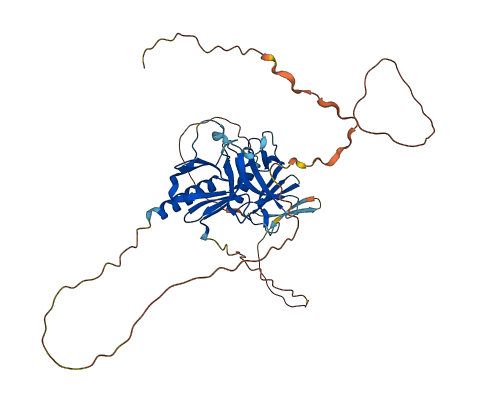 PLEKHA2 3D structure