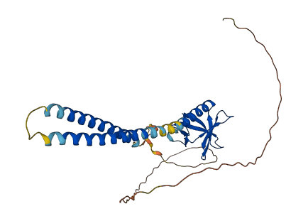 PLEKHA3 3D structure