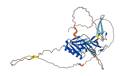 PLEKHA1 3D structure