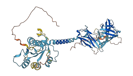 IL1RL2 3D structure