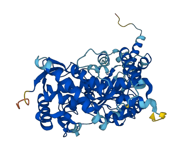 CYP3A43 3D structure