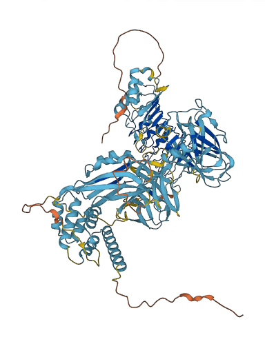 PIDD1 3D structure
