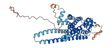 NMUR1 3D structure