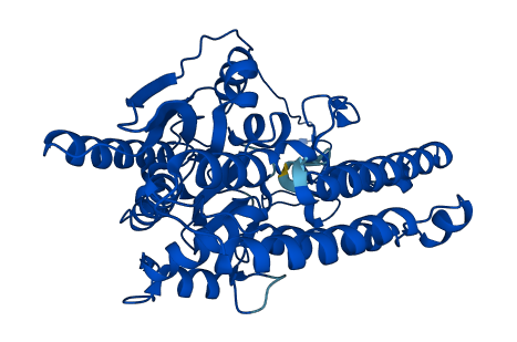 FOLH1B 3D structure