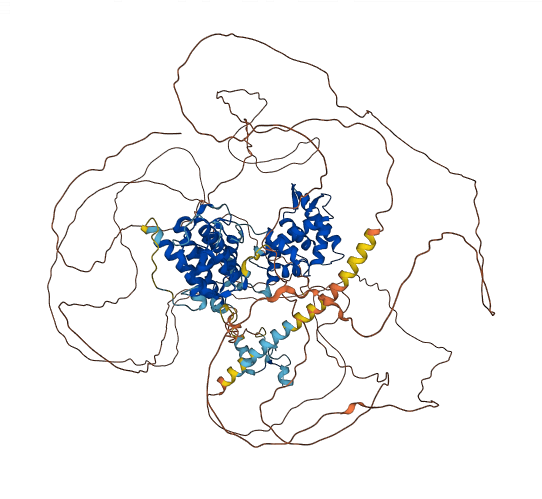 RC3H2 3D structure