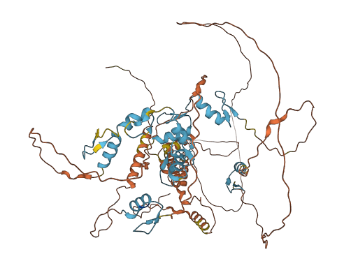 PATZ1 3D structure