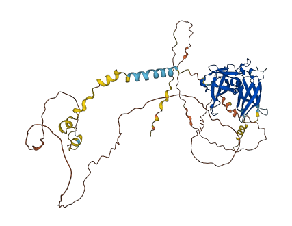 IL21R 3D structure