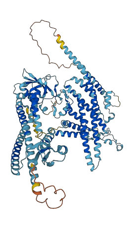 ATP6V0A4 3D structure