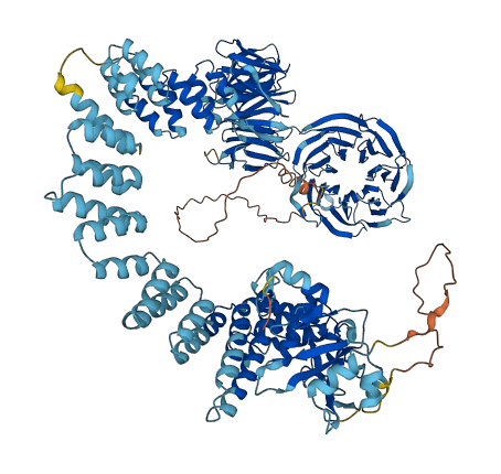IFT122 3D structure