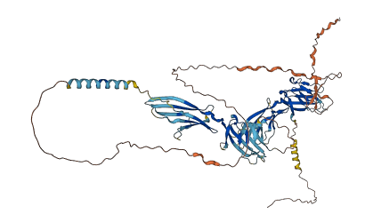 LY9 3D structure