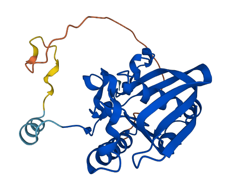 PDF 3D structure
