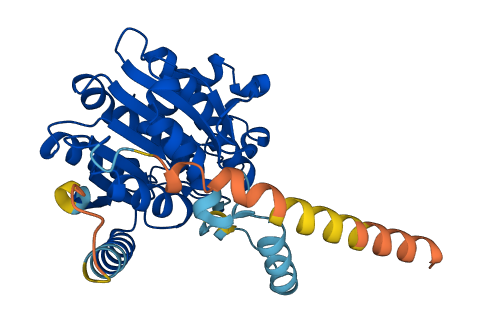 RDH14 3D structure