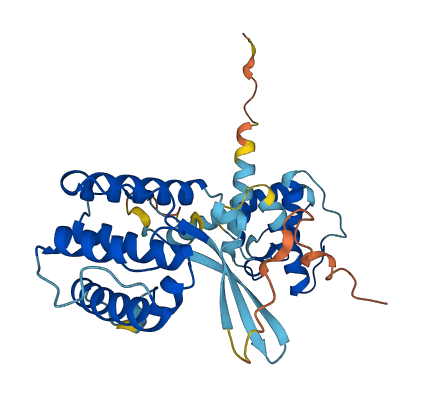 PARVG 3D structure