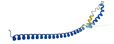 C3orf14 3D structure