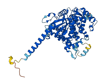 CYP4F11 3D structure