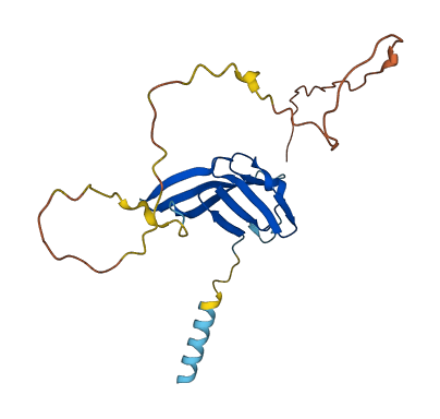 PLAC1 3D structure
